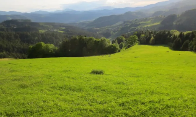 Недвижимость Усадьба 'Кметияново Ремшник': 5