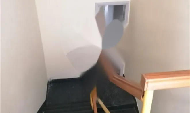 Недвижимость Коммерческое помещение в центре: 15