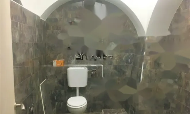 Недвижимость Коммерческое помещение Вич: 7