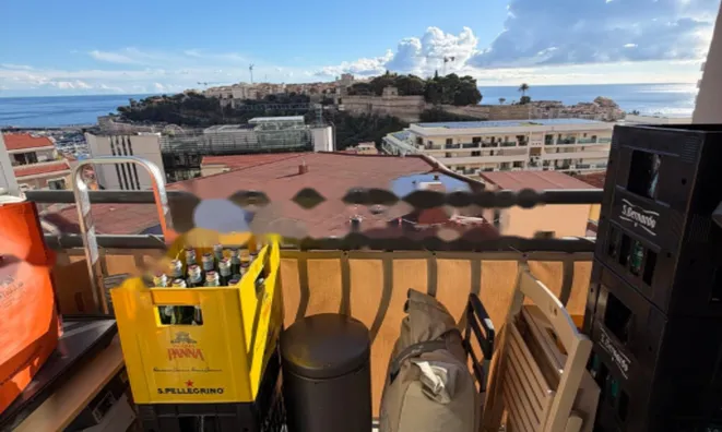 Недвижимость Apartment Monaco, Jardin Exotique: 2