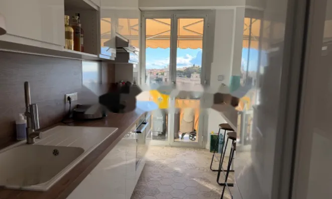 Недвижимость Apartment Monaco, Jardin Exotique: 4