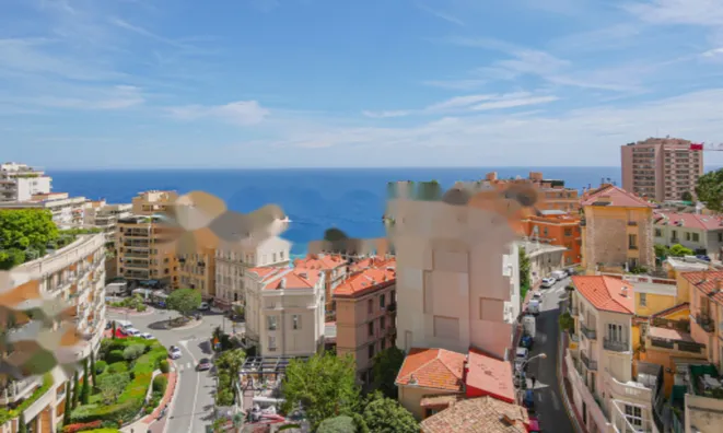 Недвижимость Apartment Monaco, La Rousse: 2