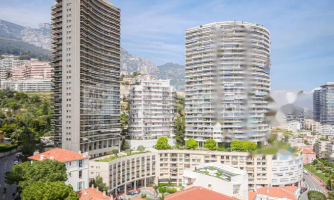 Недвижимость Apartment Monaco, La Rousse: 12
