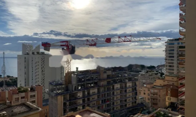 Недвижимость Apartment Monaco, Jardin Exotique: 3