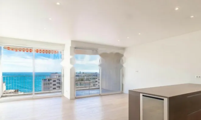 Недвижимость Apartment Monaco, La Rousse: 2
