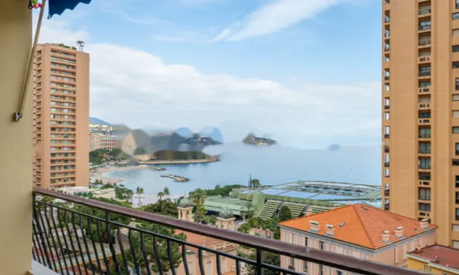 Недвижимость Apartment Monaco, Monte-Carlo: 12