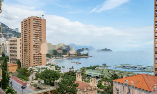 Недвижимость Apartment Monaco, Monte-Carlo: 14