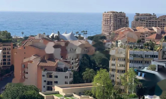 Недвижимость Apartment Monaco, Condamine: 4