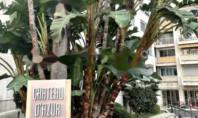 Недвижимость Apartment Monaco, La Rousse: 2