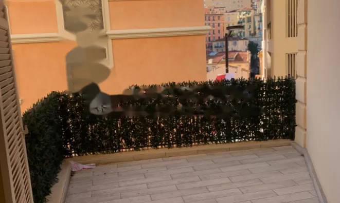 Недвижимость Apartment Monaco, Monte-Carlo: 9