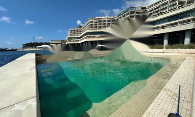 Недвижимость Apartment Monaco, Anse Du Portier: 3