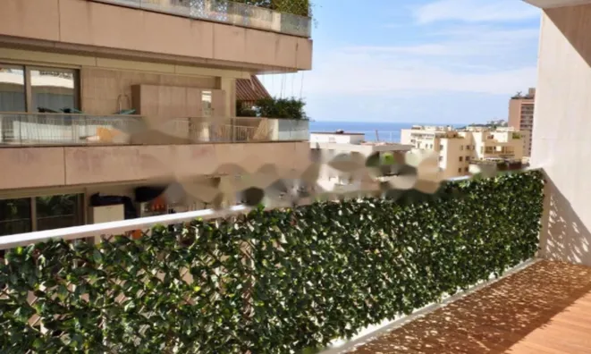 Недвижимость Apartment Monaco, La Rousse: 2