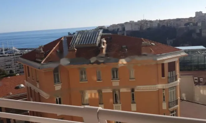 Недвижимость Apartment Monaco, Jardin Exotique: 3