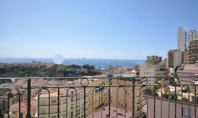 Недвижимость Apartment Monaco, Moneghetti: 5