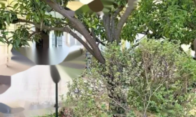 Недвижимость Apartment Cannes: 2