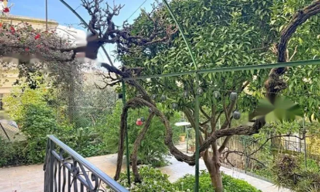 Недвижимость Apartment Cannes: 10