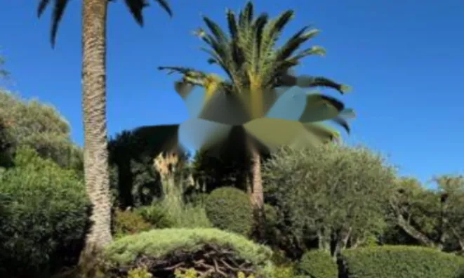 Недвижимость Appartement Cannes: 3