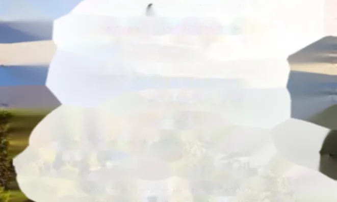 Недвижимость Apartment Cannes Californie: 9