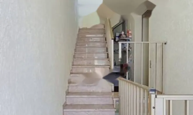 Недвижимость Maison Cannes: 9