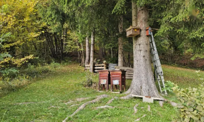 Недвижимость Дом, Зип, Блед-Горье: 4