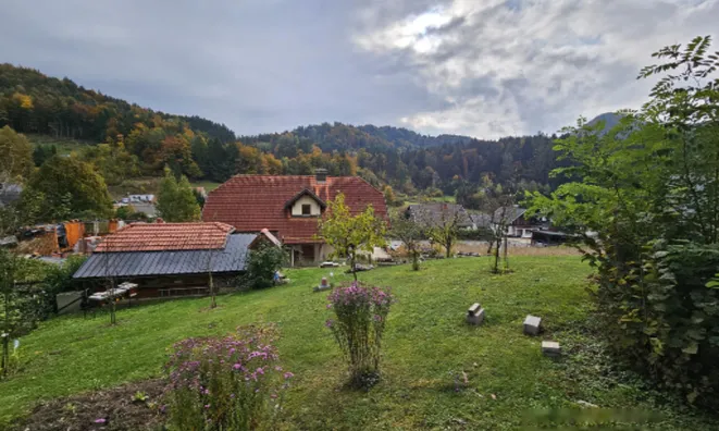 Недвижимость Дом, Зип, Блед-Горье: 11