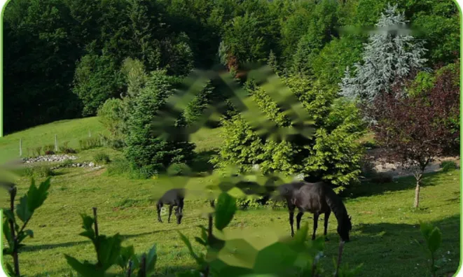 Недвижимость Дом, Верхняя Липница: 22