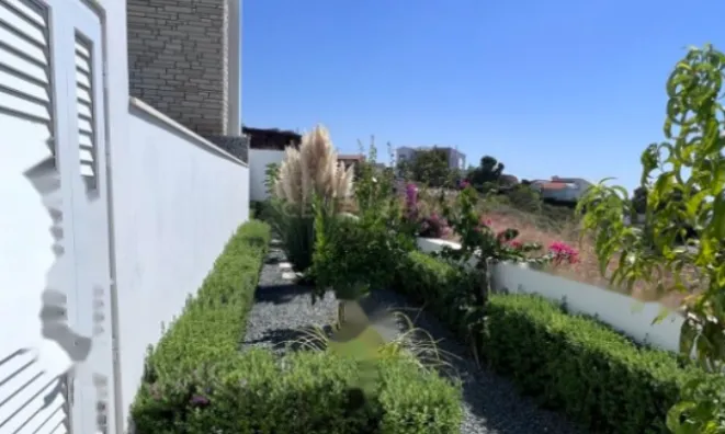 Недвижимость 3 Bedroom Villa For Sale in Pafos City: 15