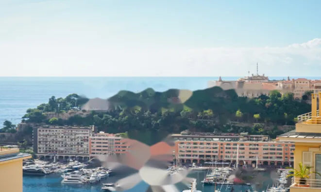 Недвижимость Apartment Monaco, Monte-Carlo: 3