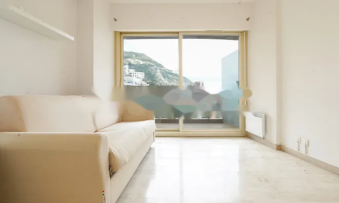 Недвижимость Apartment Monaco, La Rousse: 4