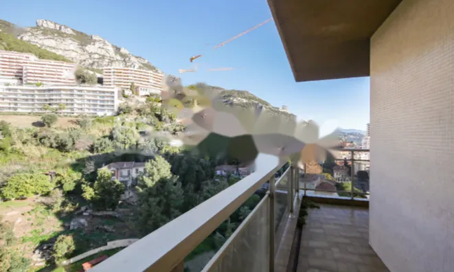 Недвижимость Apartment Monaco, La Rousse: 8