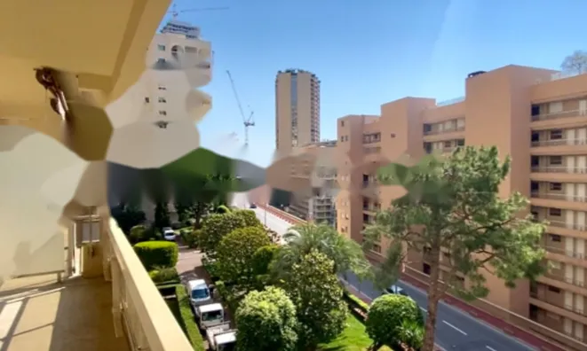 Недвижимость Apartment Monaco, La Rousse: 8