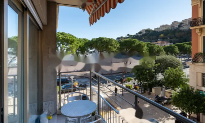 Недвижимость Apartment Monaco, Port: 9