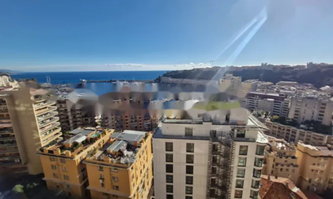 Недвижимость Apartment Monaco, Condamine: 5