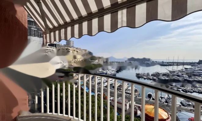 Недвижимость Apartment Monaco, Port: 3