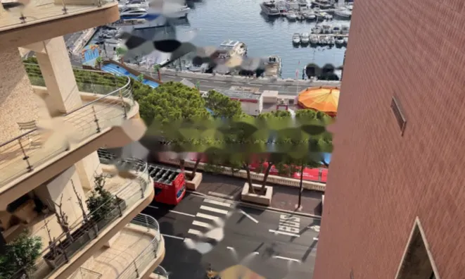 Недвижимость Apartment Monaco, Port: 11