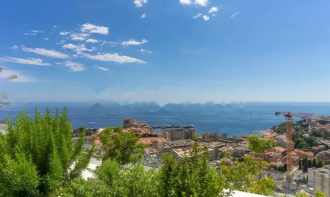 Недвижимость Apartment Monaco, Jardin Exotique: 4