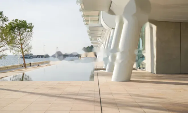 Недвижимость Apartment Monaco, Anse Du Portier: 24