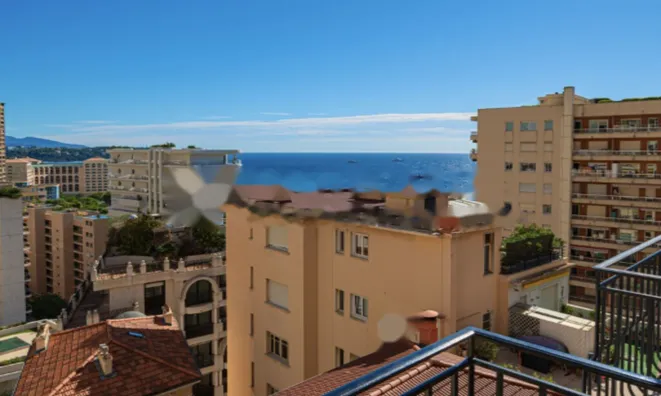 Недвижимость Apartment Monaco, La Rousse: 3