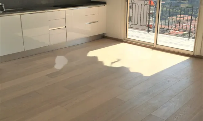 Недвижимость Apartment Monaco, Moneghetti: 10