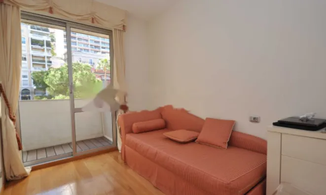 Недвижимость Apartment Monaco, La Rousse: 7