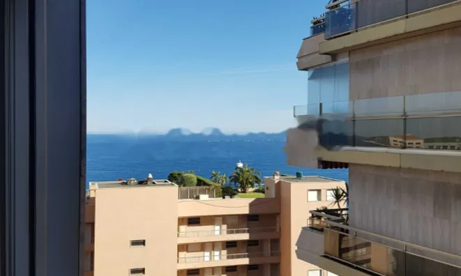 Недвижимость Apartment Monaco, La Rousse: 8