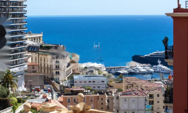 Недвижимость Apartment Monaco, Moneghetti: 8