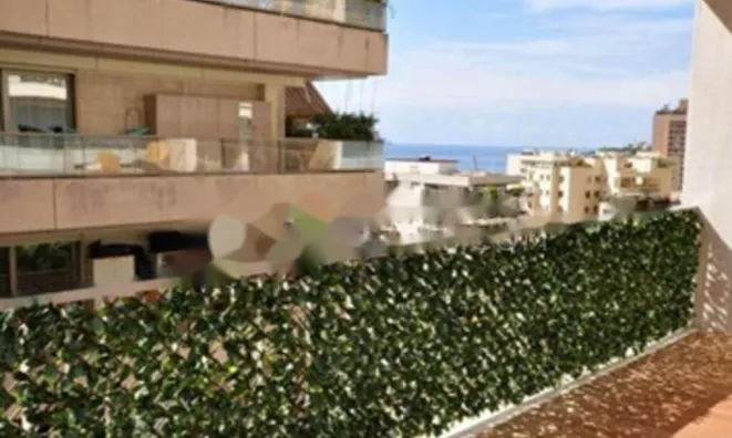 Недвижимость Apartment Monaco, La Rousse: 7