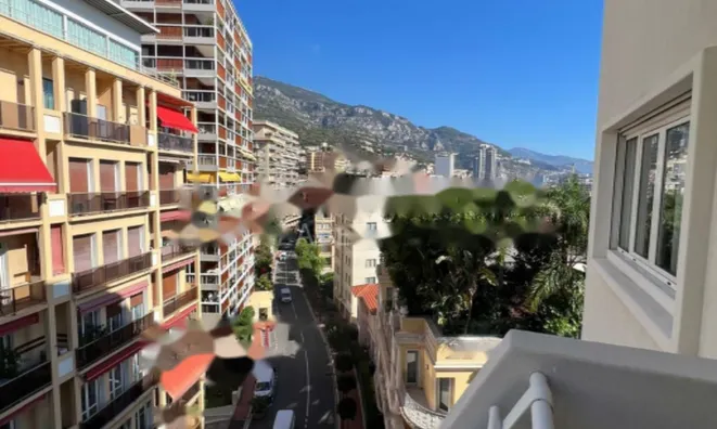 Недвижимость Apartment Monaco, Jardin Exotique: 5