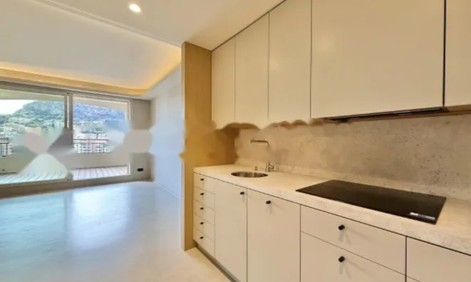 Недвижимость Apartment Monaco, Fontvieille: 9