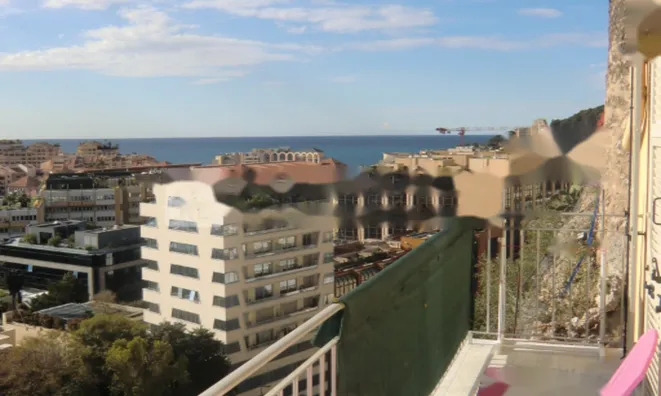 Недвижимость Apartment Monaco, Jardin Exotique: 2