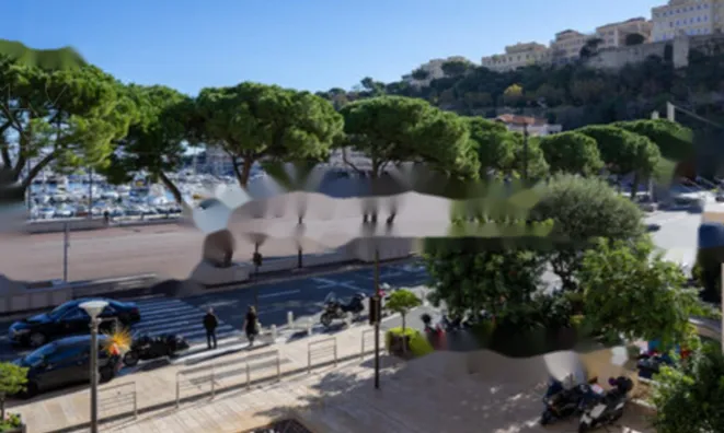 Недвижимость Apartment Monaco, Port: 1