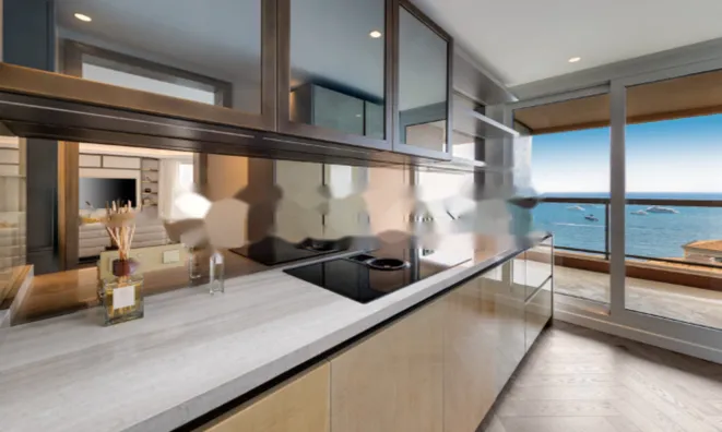 Недвижимость Apartment Monaco, La Rousse: 13