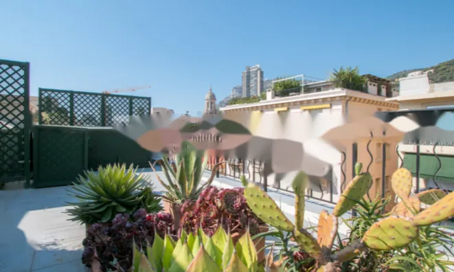 Недвижимость Apartment Monaco, Carre D Or: 16