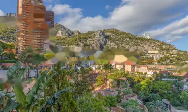 Недвижимость Apartment Monaco, La Rousse: 1